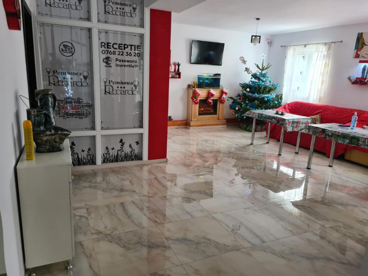 Pensiunea Riccardo براشوف المظهر الخارجي الصورة